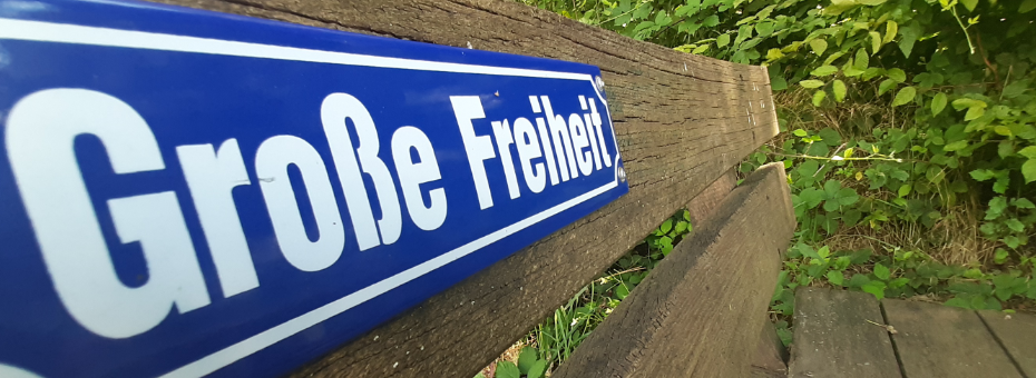 Beitragsbild Jahresrückblick 2024