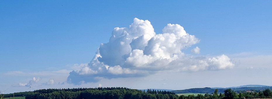 Beitragsbild Monatsrückblick August